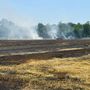 Roghi nel Varesotto: campi  in fiamme tra caldo record e disattenzione