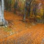 I colori dell'autunno in provincia di Varese