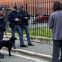 Controlli antidroga nelle scuole di Gallarate: in azione il “cane poliziotto” Zorro