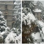 Nevicata in corso al Sacro Monte
