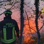 Incendio di Laveno sconfitto: il giorno del grazie e delle indagini sulle cause Incendio di Laveno sconfitto: il giorno del grazie e delle indagini sulle cause