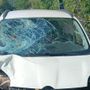 L'auto coinvolta nell'incidente (foto LuinoNotizie.it) L'auto coinvolta nell'incidente (foto LuinoNotizie.it)