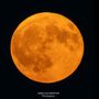 La Luna piena del Cervo vista dalla nostra provincia nello scatto di Gianluca Bertoni