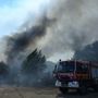 Dodici morti a causa di un incendio in Andalusia: alcune vittime trovate nelle auto Dodici morti a causa di un incendio in Andalusia: alcune vittime trovate nelle auto