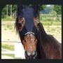 Foto Adn Kronos Foto Adn Kronos
