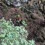 Ritrovati illesi due cercatori di funghi dispersi in val Vigezzo Ritrovati illesi due cercatori di funghi dispersi in val Vigezzo