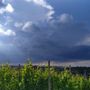 Fino a giovedì faremo i conti con rovesci, temporali e possibili grandinate. Temperature giù di 8-10 gradi
