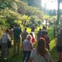 I giardini di Villa Taranto, la sorpresa dell'estate