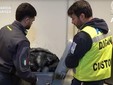 I controlli a Malpensa finalizzati al contrasto del commercio di capi d'abbigliamento contraffatti