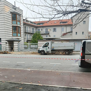 In via XXV Aprile a Gallarate tagliati alcuni esemplari di ciliegi selvatici