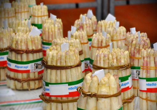 Fiera dell’Asparago di Cantello, Coldiretti: «Produttori agricoli protagonisti del made in Varese a chilometro zero»