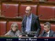 Ferrara (M5S): «Vergognoso bloccare i cavalli per debiti. Subito una soluzione per tutelare gli animali»
