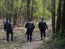 Blitz dei carabinieri a Mondonico, in manette un piccolo boss dello spaccio nei boschi della Valganna