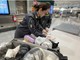 I controlli della Gdf di Varese a Malpensa I controlli della Gdf di Varese a Malpensa