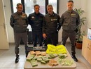 Chiasso, sul treno con un &quot;tesoro&quot; in valigia: scoperto in dogana