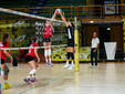 Le foto dell'allenamento congiunto tra Brescia e Busto (credit foto Millenium Brescia/Daniele Bianchin) Le foto dell'allenamento congiunto tra Brescia e Busto (credit foto Millenium Brescia/Daniele Bianchin)