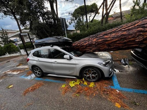 Un'auto colpita da un tronco a Milano Marittina  (foto dalla pagina Facebook Emilia Romagna Meteo)