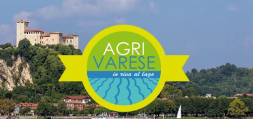 Agrivarese torna sul Lago Maggiore: ad Angera va in scena la festa dell’agricoltura Agrivarese torna sul Lago Maggiore: ad Angera va in scena la festa dell’agricoltura