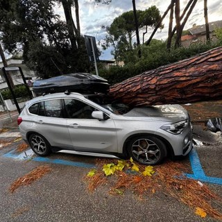 Un'auto colpita da un tronco a Milano Marittina  (foto dalla pagina Facebook Emilia Romagna Meteo)