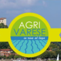 Agrivarese torna sul Lago Maggiore: ad Angera va in scena la festa dell’agricoltura Agrivarese torna sul Lago Maggiore: ad Angera va in scena la festa dell’agricoltura