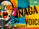 Gallarate si prepara a cantare: in arrivo Naga Voice 2025, il concorso che dà voce ai talenti