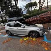 Un'auto colpita da un tronco a Milano Marittina  (foto dalla pagina Facebook Emilia Romagna Meteo)