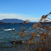 Il vento sul lago di Varese