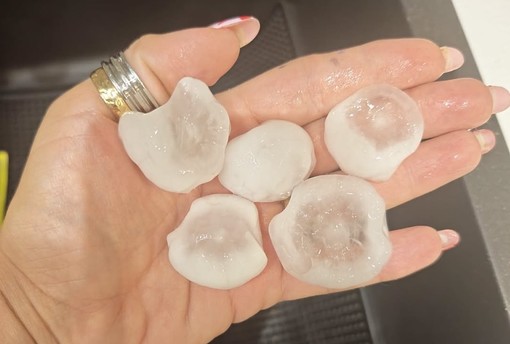 La grandine caduta questa mattina in Brianza (foto di Giusy Olivieri da NaturalMeteo) La grandine caduta questa mattina in Brianza (foto di Giusy Olivieri da NaturalMeteo)