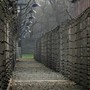 «Ministra Roccella, quelle ad Auschwitz non erano &quot;gite&quot;. Spero voglia chiedere scusa alle mamme che non hanno rivisto i propri figli inceneriti»