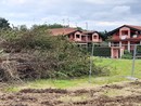 In via Lazio si è iniziato a lavorare, procedendo al taglio degli alberi