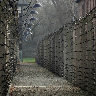 «Ministra Roccella, quelle ad Auschwitz non erano &quot;gite&quot;. Spero voglia chiedere scusa alle mamme che non hanno rivisto i propri figli inceneriti»