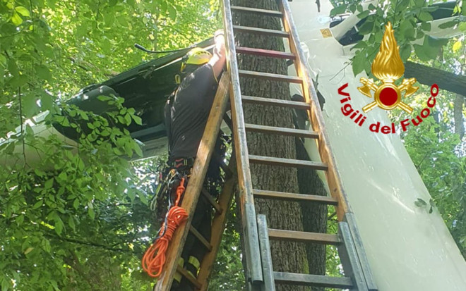 Aliante finisce contro un albero a Calcinate: illeso il pilota Aliante finisce contro un albero a Calcinate: illeso il pilota