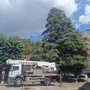 Lo storico cedro del piazzale della parrocchia di Angera colpito da un fulmine
