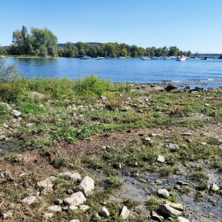 Il livello delle acque del Lago Maggiore è sempre più basso