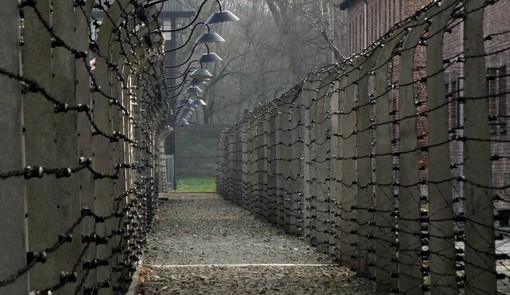 «Ministra Roccella, quelle ad Auschwitz non erano &quot;gite&quot;. Spero voglia chiedere scusa alle mamme che non hanno rivisto i propri figli inceneriti»