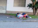 A quando le fototrappole? La domanda corre sulle strade di Busto
