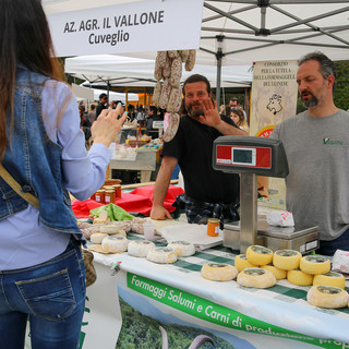 Agrivarese arriva ad Angera: candidature al via per la manifestazione dell'11 ottobre