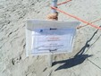 La spiaggia di Andora La spiaggia di Andora