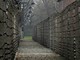 «Ministra Roccella, quelle ad Auschwitz non erano &quot;gite&quot;. Spero voglia chiedere scusa alle mamme che non hanno rivisto i propri figli inceneriti»
