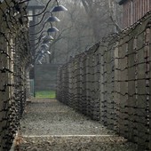 «Ministra Roccella, quelle ad Auschwitz non erano &quot;gite&quot;. Spero voglia chiedere scusa alle mamme che non hanno rivisto i propri figli inceneriti»