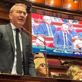 Il Deputato di Fratelli d'Italia, Andrea Pellicini