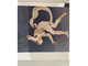 Francesco D’Angelo in mostra alla Galleria Boragno di Busto
