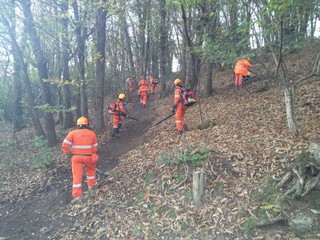 Alcune immagini dell'esercitazione di Brezzo di Bedero dei volontari del Coav Valli del Verbano