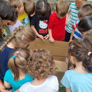 «Le maestre sono il cuore della scuola, non siamo disposti a perderle». Le lettere delle famiglie della scuola Crespi «Le maestre sono il cuore della scuola, non siamo disposti a perderle». Le lettere delle famiglie della scuola Crespi