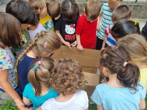 «Le maestre sono il cuore della scuola, non siamo disposti a perderle». Le lettere delle famiglie della scuola Crespi