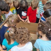 «Le maestre sono il cuore della scuola, non siamo disposti a perderle». Le lettere delle famiglie della scuola Crespi «Le maestre sono il cuore della scuola, non siamo disposti a perderle». Le lettere delle famiglie della scuola Crespi