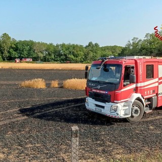 In fiamme un campo di grano a Busto: nessun ferito