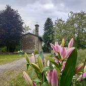 San Vitale a Gorla Maggiore