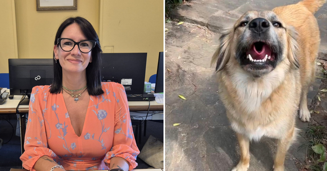 Fiona è fuori pericolo. L’assessore Cozzi condanna i colpevoli: «Gesto doloso, è un atto da delinquenti»