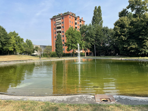 VIDEO - Parco Comerio, il verde che custodisce la memoria dei deportati della Ercole Comerio VIDEO - Parco Comerio, il verde che custodisce la memoria dei deportati della Ercole Comerio
